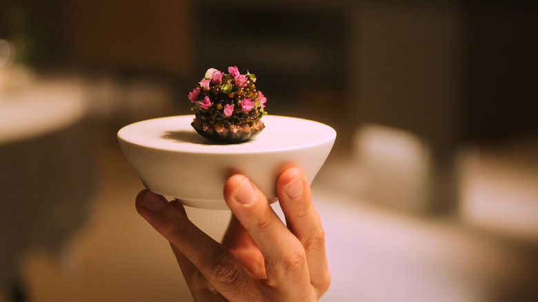 A composed restaurant dish being presented by hand